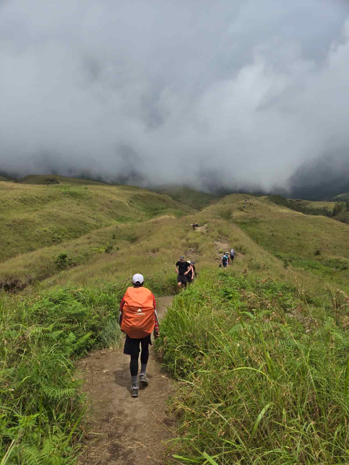IMG-20240514-WA0036